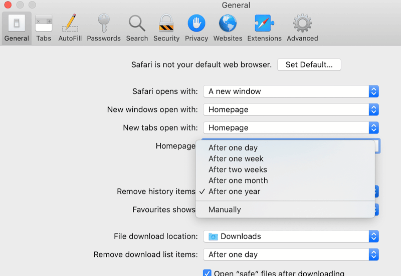 History items will be removed after the period of your choice - Source: Safari